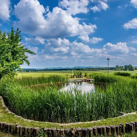 Vendégház Tavirózsa Élménypark Igar