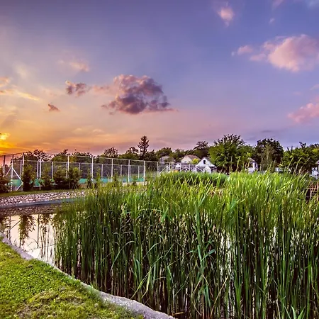 Tavirozsa Elmenypark * Igar