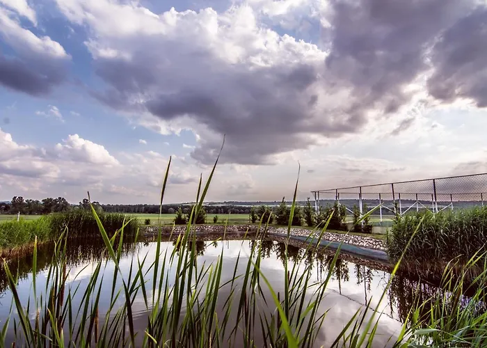 Tavirozsa Elmenypark