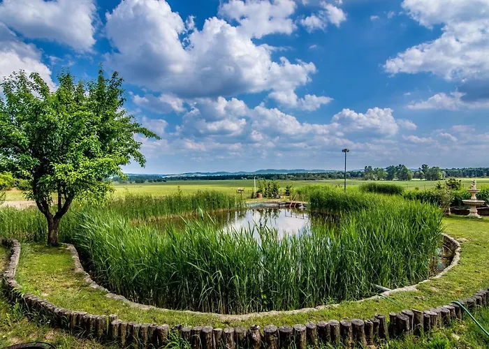 Πανσιόν Tavirozsa Elmenypark Igar