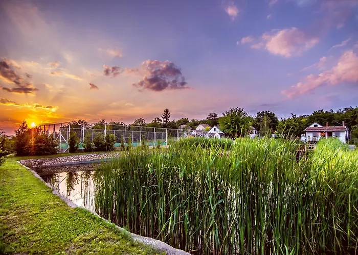 Tavirozsa Elmenypark * Igar